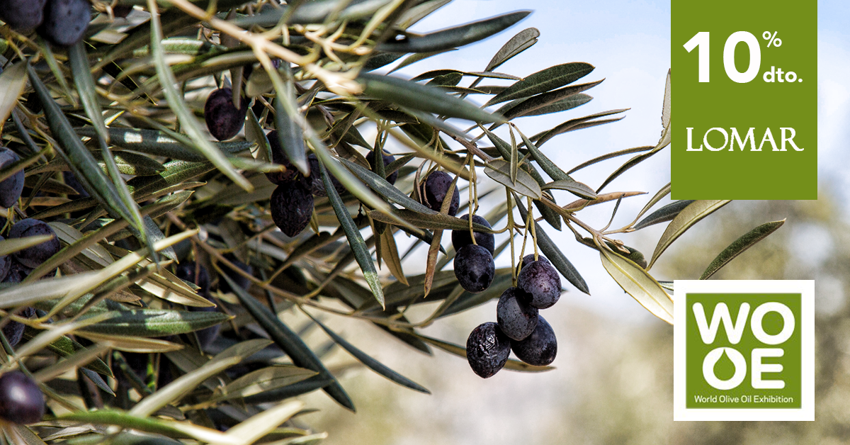WOOE huile d'olive